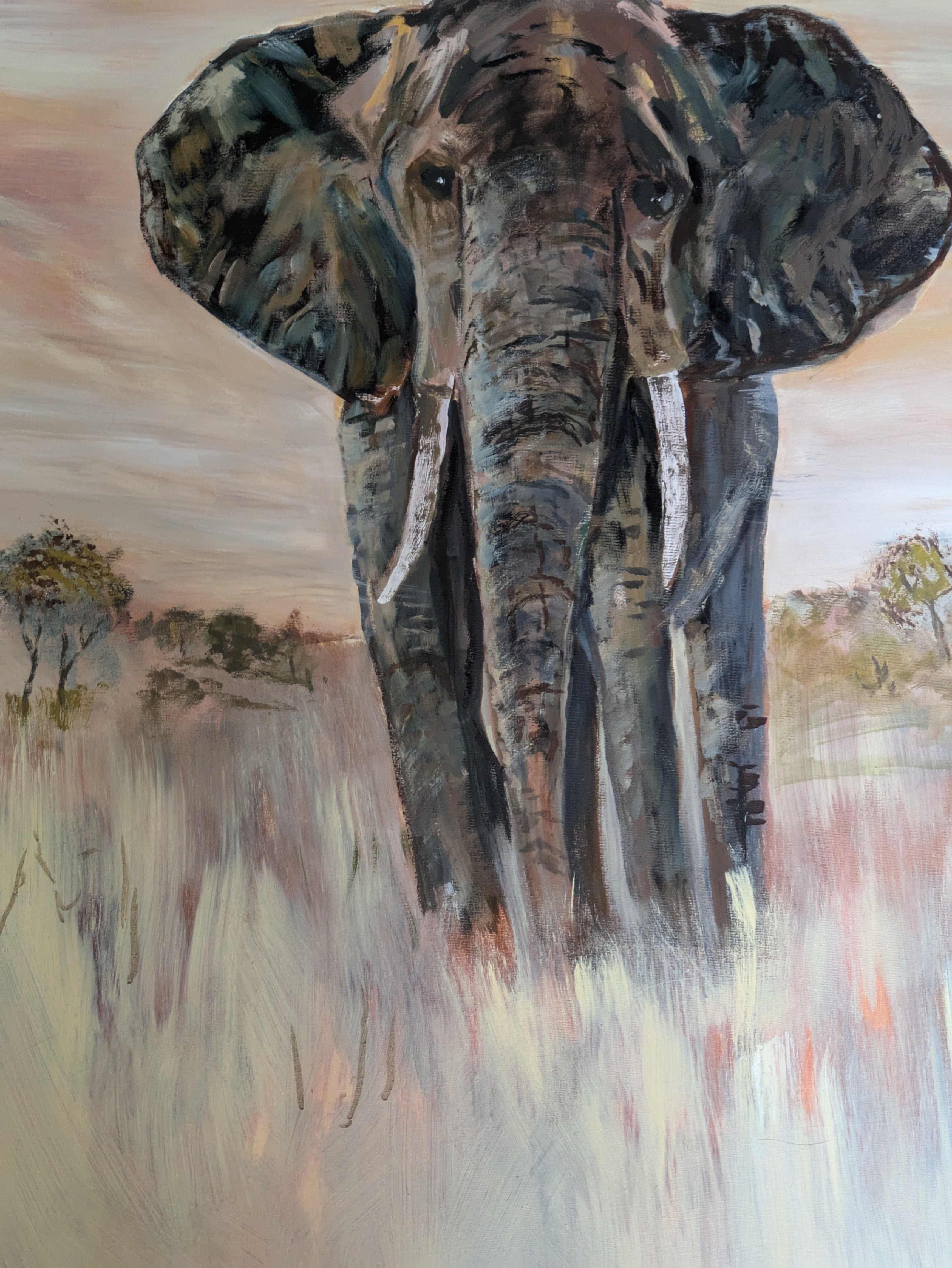 elephant